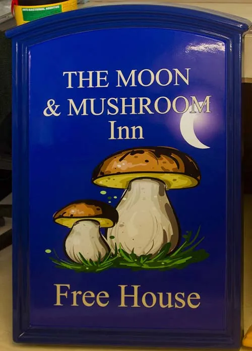 Fibreglass sign with full colour print. Fibreglass Sign - Full Colour Print