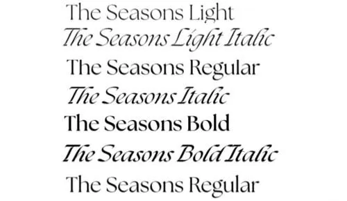 Script Fonts