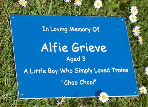 title here Alt text here