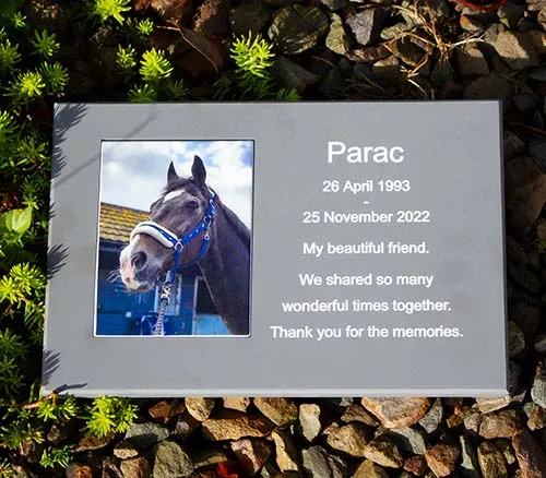 Other full colour photo plaques can alsp be inset. PhotoInset into Stone-like Corian