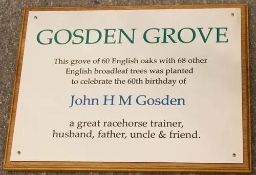 Engraved brass plaque in several colours Large Engraved Plaque