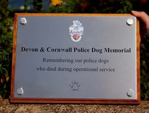 Chemically etched stainless steel with backing board. Engraved Stainless Steel