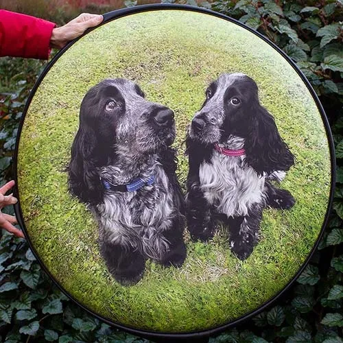 Full colour wrap with customers photo. Customers Dog Photo Image