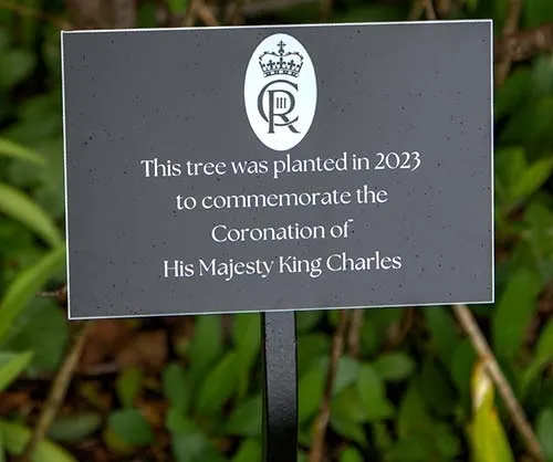 This wrought iron tree stake has a plate to fi the plaques to. Wrought Iron Tree Stake