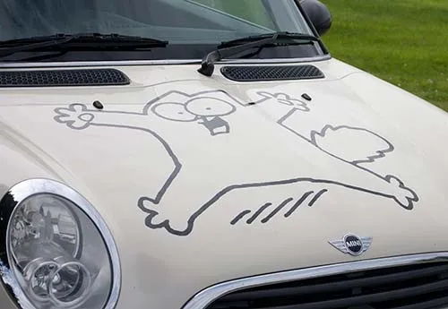 Send us your artwork and we will prive the cut vinyl. Cut Vinyl Car Graphics